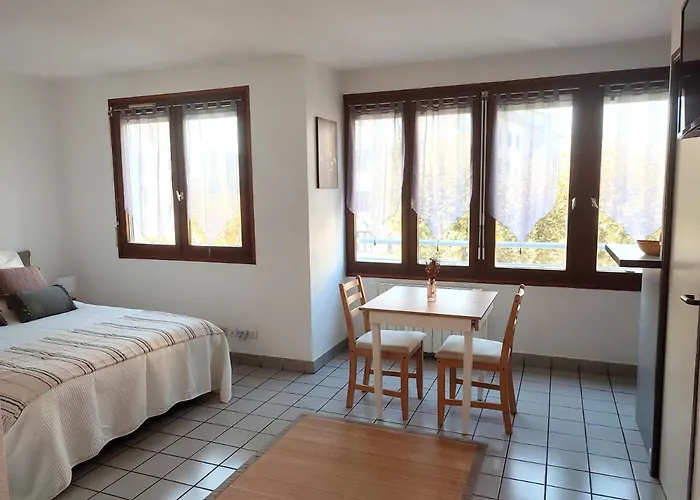 Joli Confort - Centre-ville آنسي